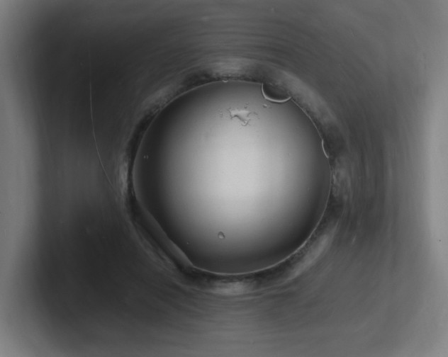 X0000102780454200808181153