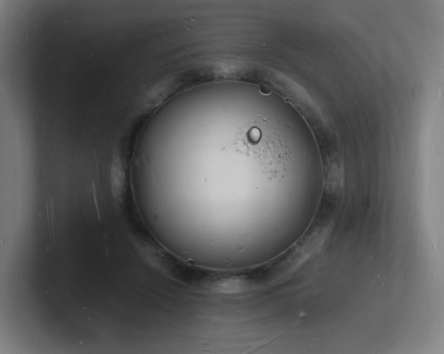 X0000102780456200808181153