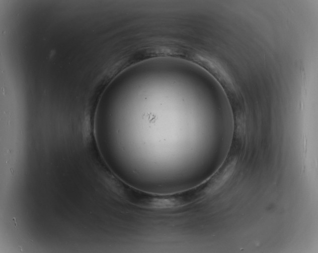 X0000102780457200808181153