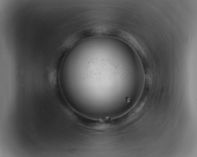 X0000102780458200808181153