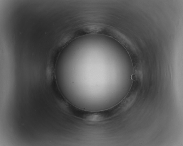 X0000102780460200808181153