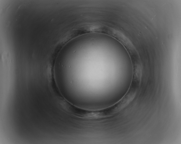 X0000102780461200808181153