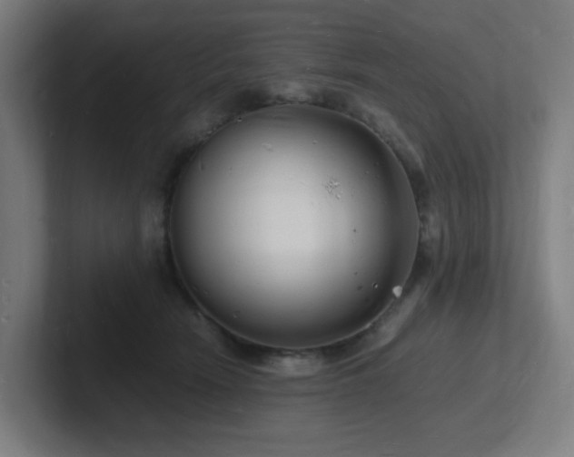 X0000102780466200808181153