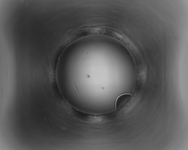 X0000102780469200808181153