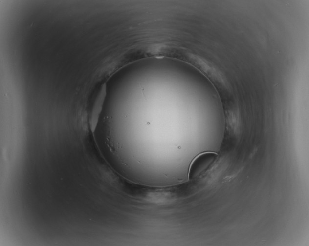 X0000102780470200808181153