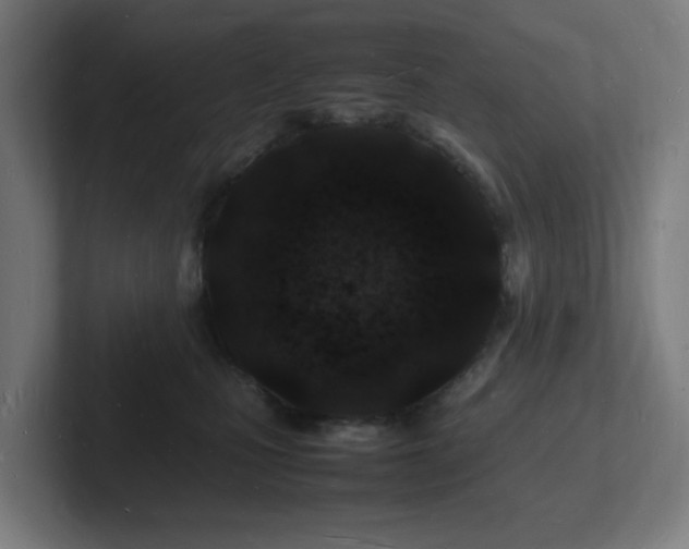 X0000102780471200808181153