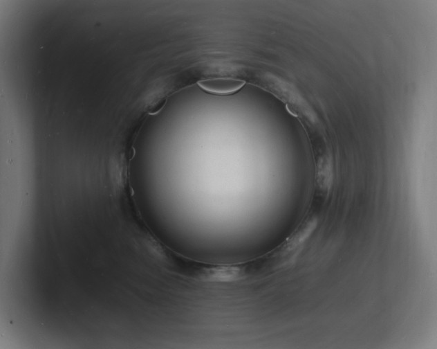 X0000102780474200808181153