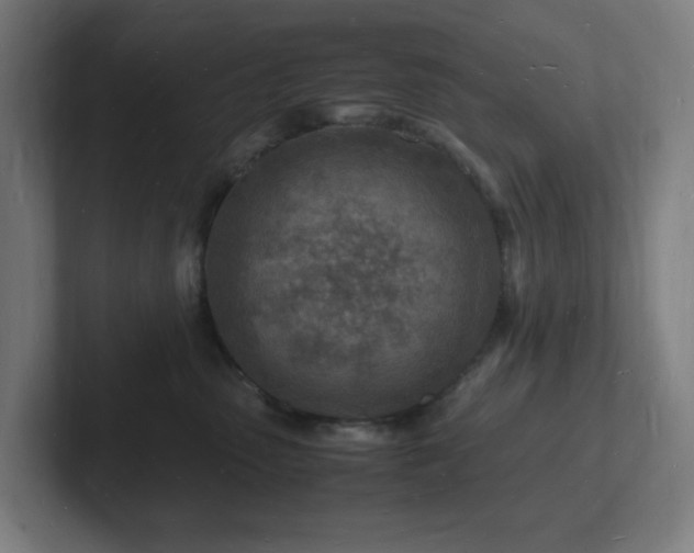 X0000102780475200808181153