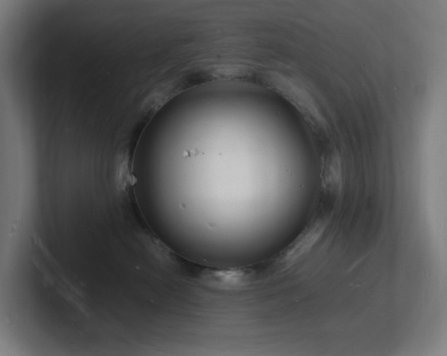 X0000102780478200808181153