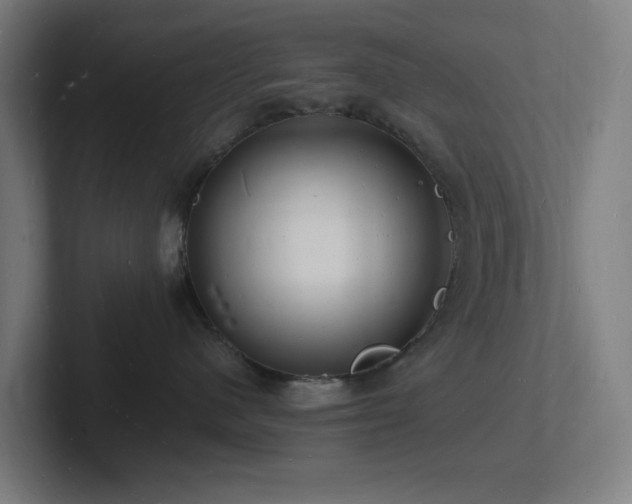 X0000102780480200808181153