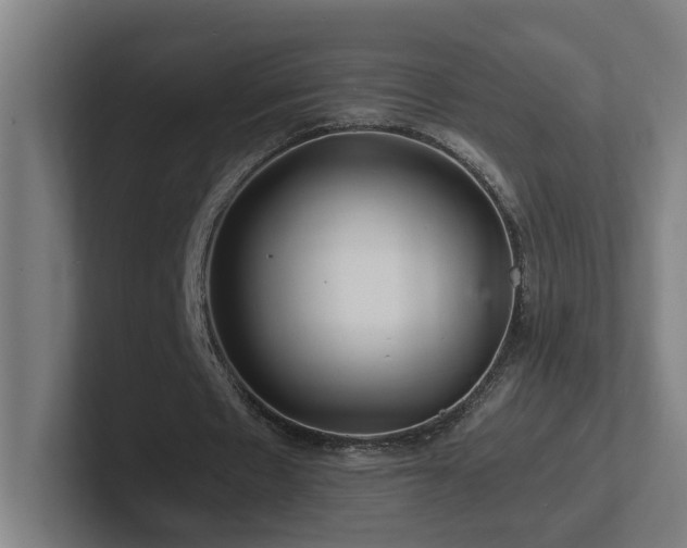 X0000102780481200808181153