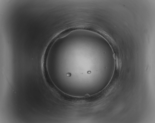 X0000102780483200808181153