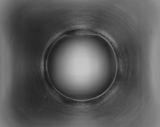 X0000102780486200808181153