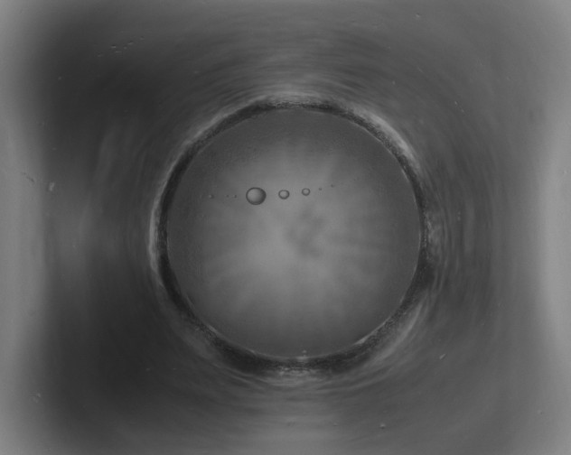 X0000102780487200808181153