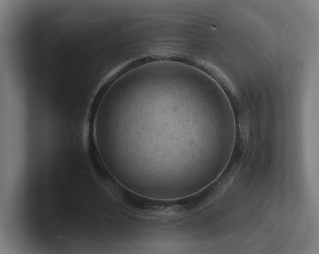 X0000102780488200808181153