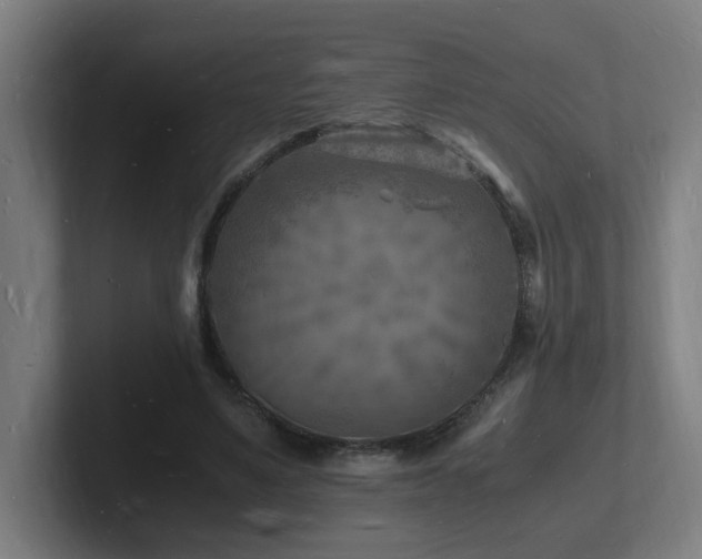 X0000102780491200808181153