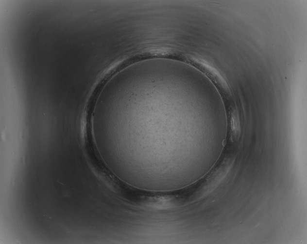 X0000102780492200808181153