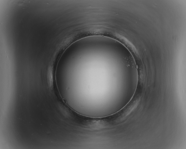 X0000102780493200808181153