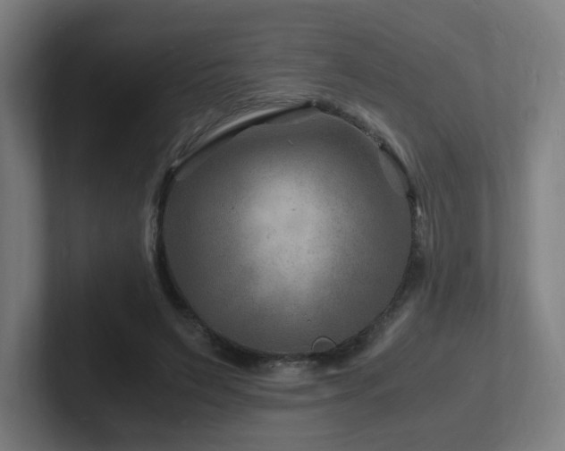 X0000102780495200808181153