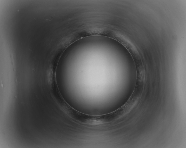 X0000102780498200808181153