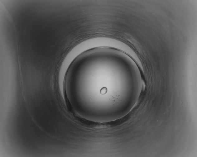 X0000102780499200808181152