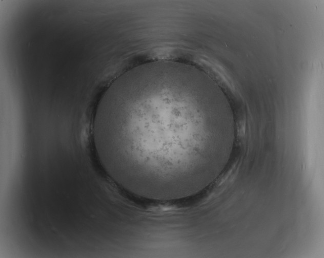 X0000102780503200808181152