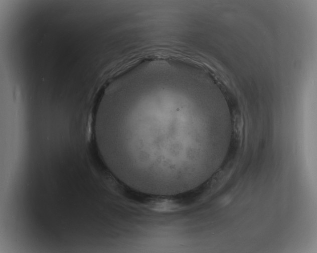 X0000102780507200808181152