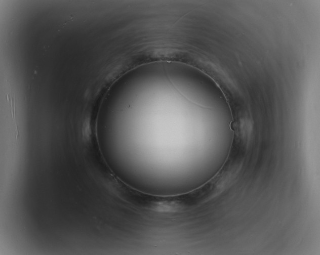 X0000102780508200808181152