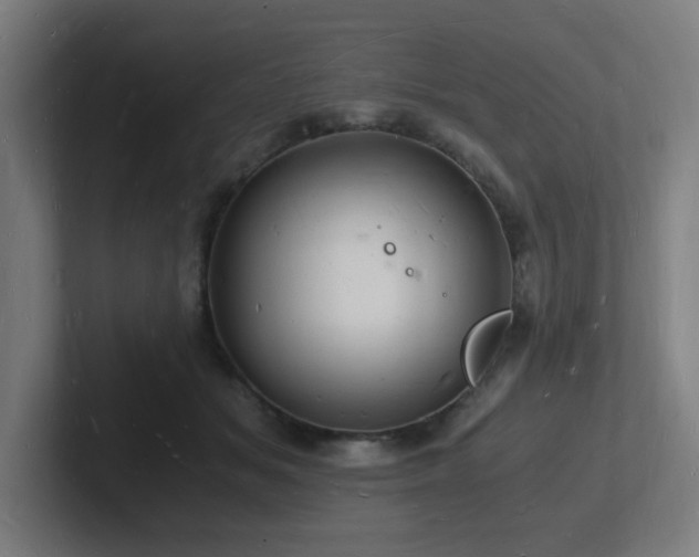 X0000102780509200808181152