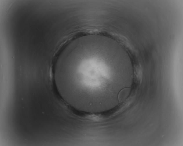 X0000102780511200808181152