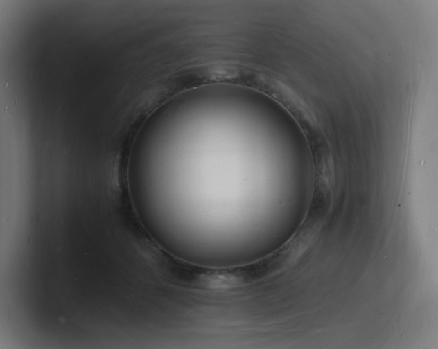 X0000102780512200808181152