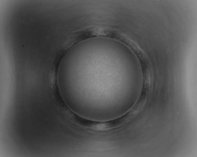 X0000102780513200808181152