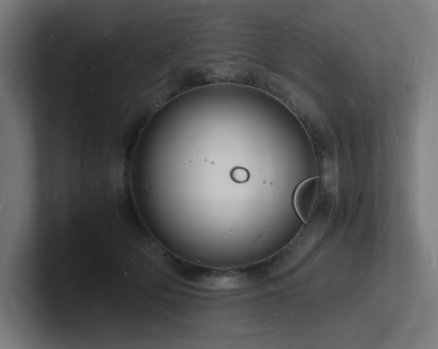 X0000102780514200808181152