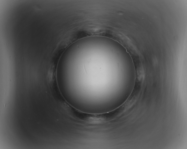 X0000102780515200808181152