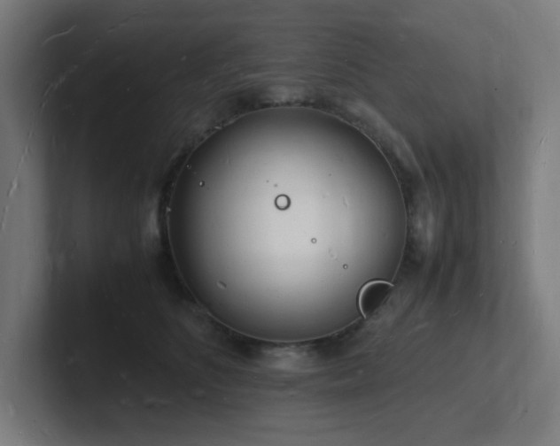 X0000102780516200808181152