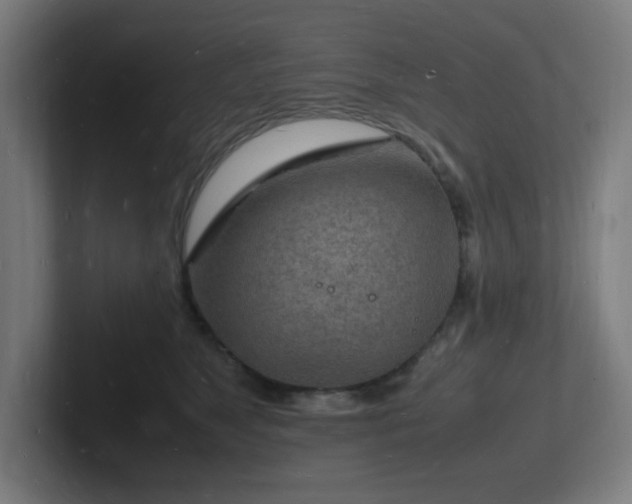 X0000102780517200808181152