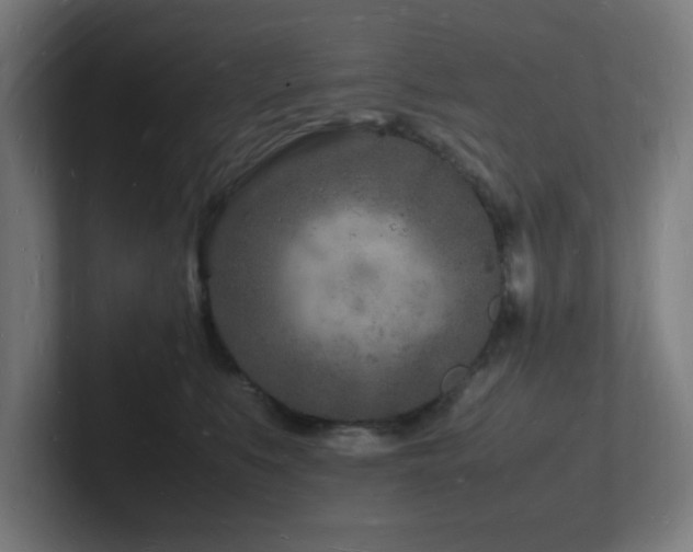 X0000102780519200808181152