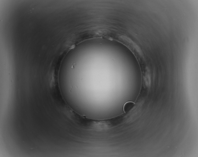 X0000102780520200808181152