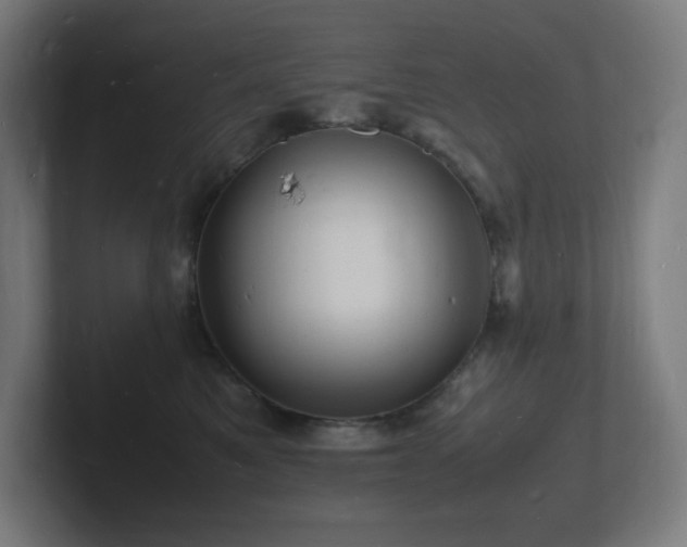 X0000102780521200808181152