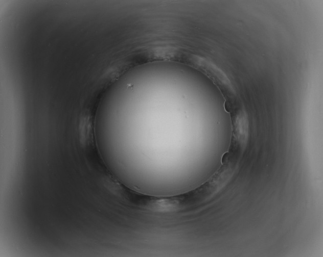 X0000102780522200808181152