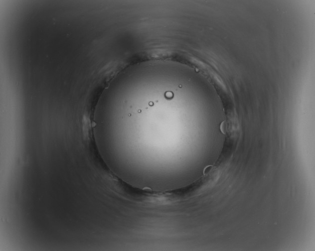 X0000102780523200808181152