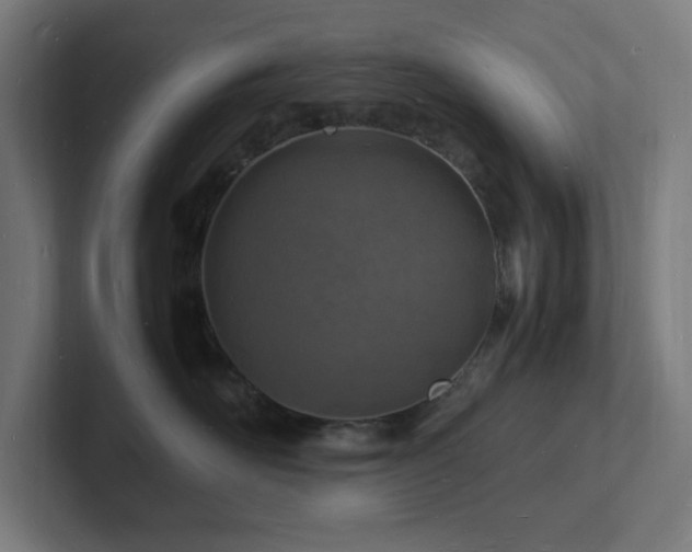 X0000102780526200808181152