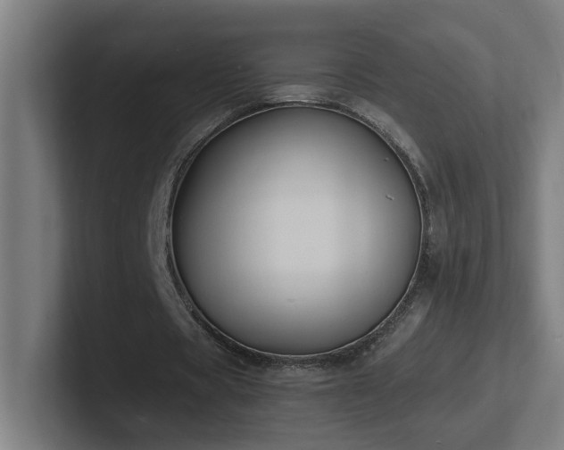 X0000102780529200808181151