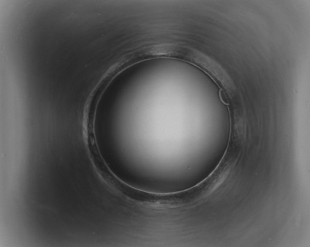 X0000102780530200808181152