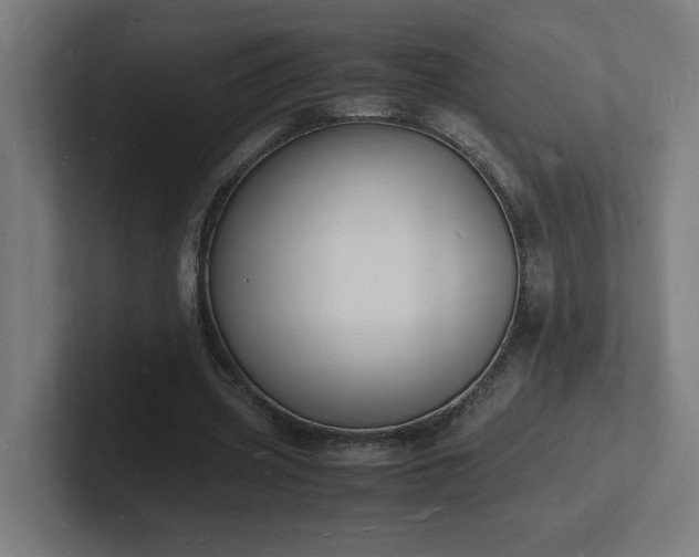 X0000102780533200808181152