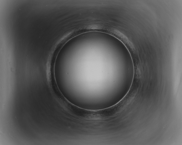 X0000102780535200808181152