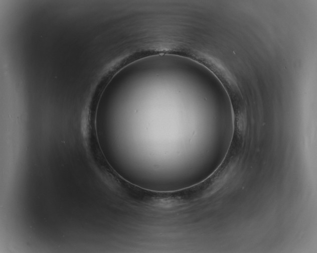 X0000102780540200808181152