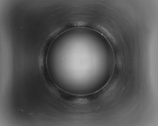 X0000102780543200808181152