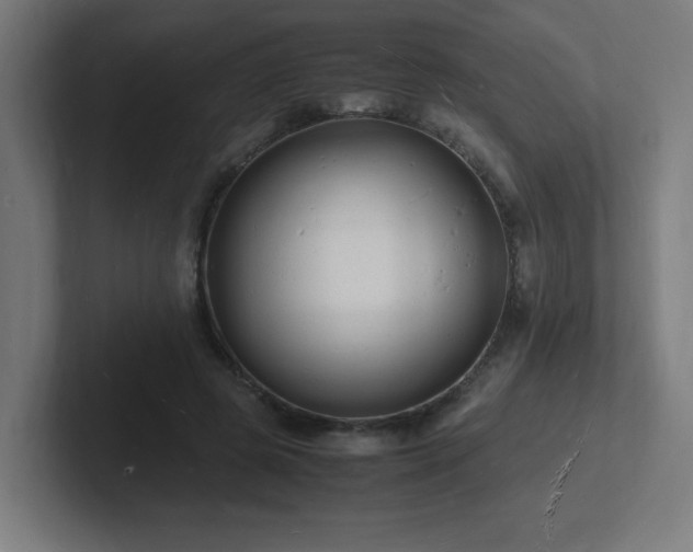 X0000102780545200808181152