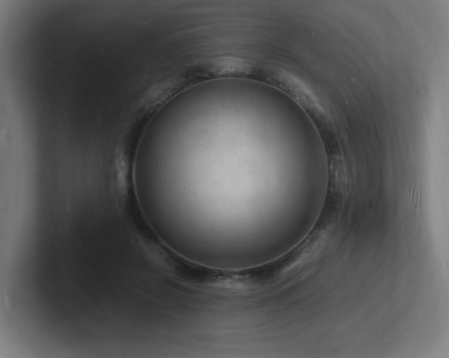 X0000102780550200808181152